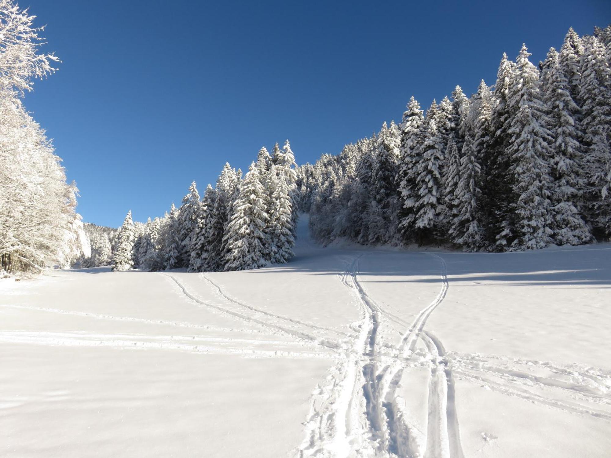 La Resilience, Sur La Piste De D'autrans Holiday home Autrans-Meaudre-en-Vercors